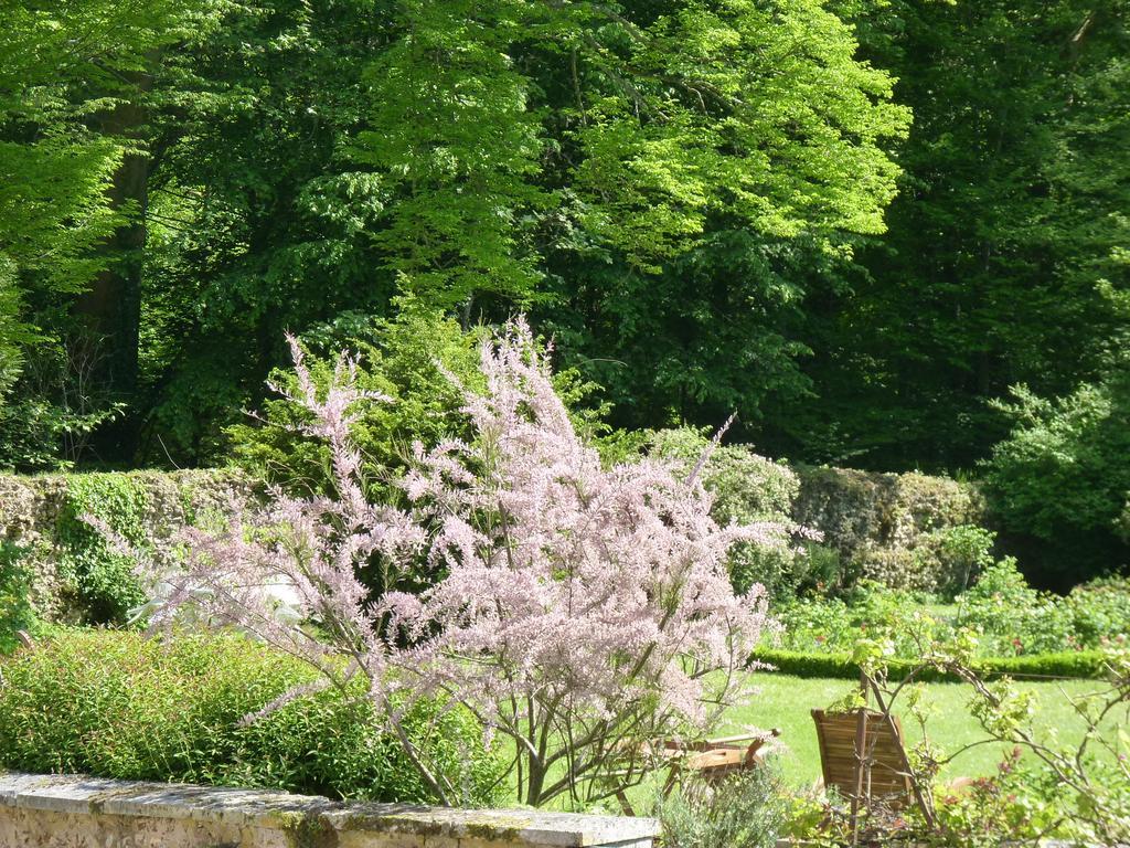 Le Clos Saint Nicolas Chateau-Renard ภายนอก รูปภาพ
