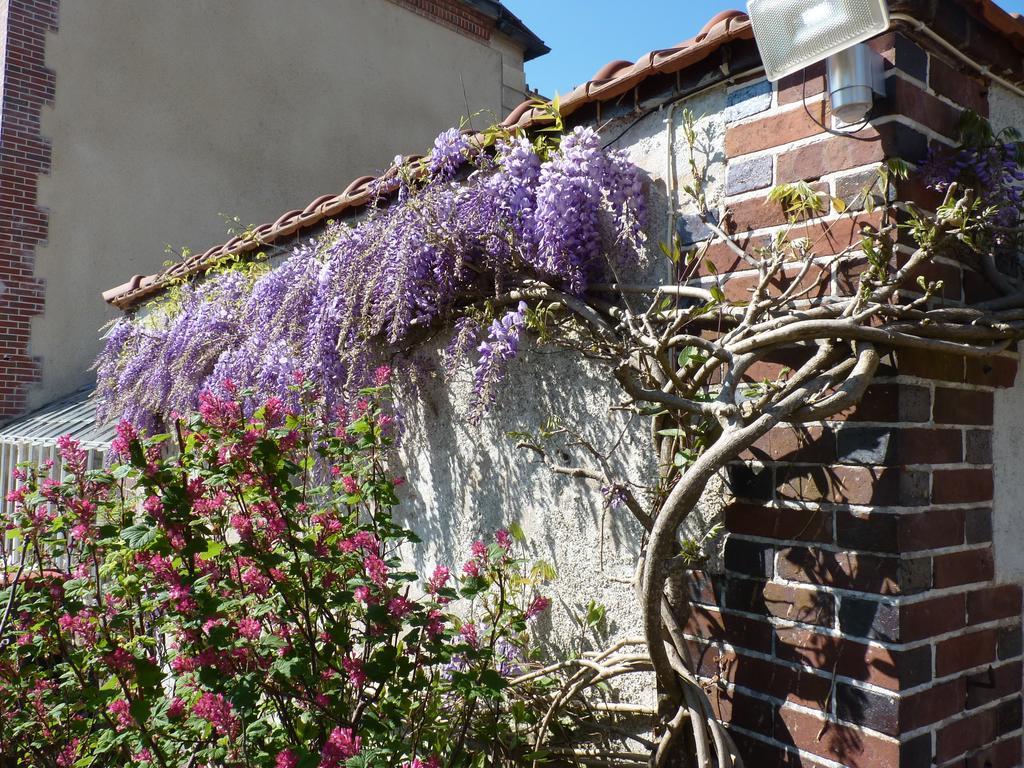 Le Clos Saint Nicolas Bed & Breakfast Chateau-Renard ภายนอก รูปภาพ